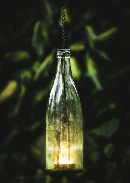 Освещение для экосистем в бутылках: естественное vs искусственное